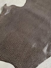 画像6: ケープシール　ニコチン　オットセイ革　シールスキン　エキゾチックレザー (6)