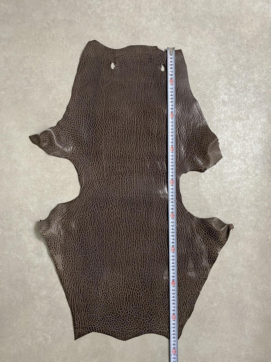 画像7: ケープシール　ニコチン　オットセイ革　シールスキン　エキゾチックレザー (7)