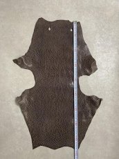 画像7: ケープシール　ニコチン　オットセイ革　シールスキン　エキゾチックレザー (7)