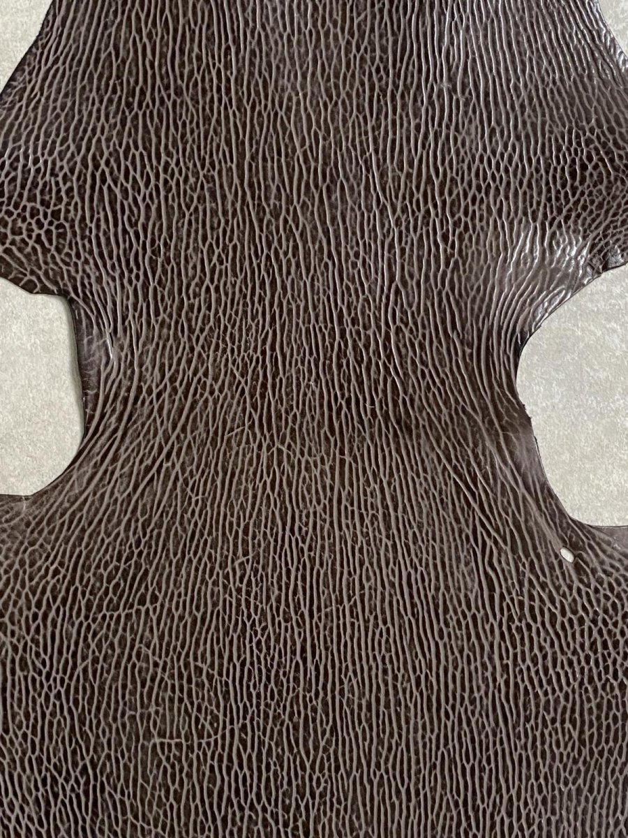 画像2: ケープシール　ニコチン　オットセイ革　シールスキン　エキゾチックレザー (2)