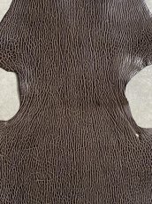 画像2: ケープシール　ニコチン　オットセイ革　シールスキン　エキゾチックレザー (2)