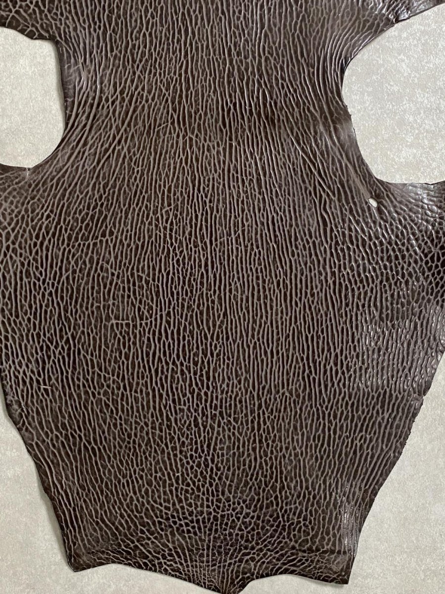 画像4: ケープシール　ニコチン　オットセイ革　シールスキン　エキゾチックレザー (4)