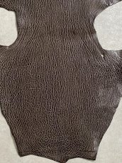 画像4: ケープシール　ニコチン　オットセイ革　シールスキン　エキゾチックレザー (4)