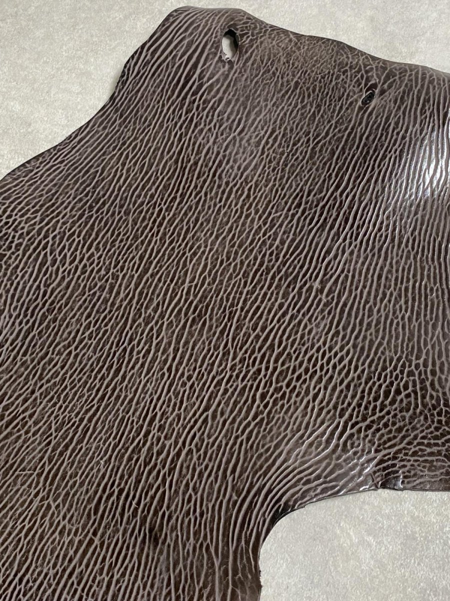 画像5: ケープシール　ニコチン　オットセイ革　シールスキン　エキゾチックレザー (5)