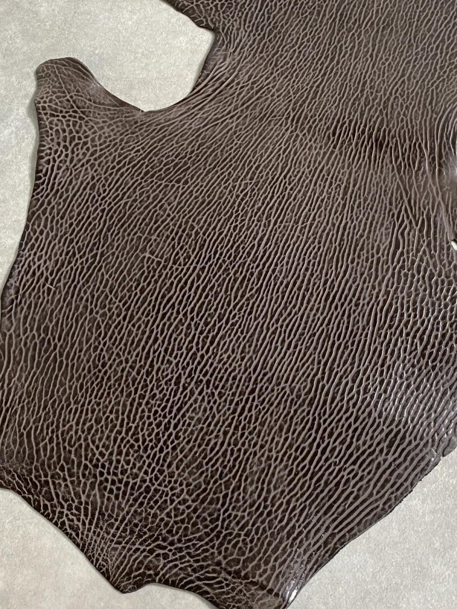 画像6: ケープシール　ニコチン　オットセイ革　シールスキン　エキゾチックレザー (6)