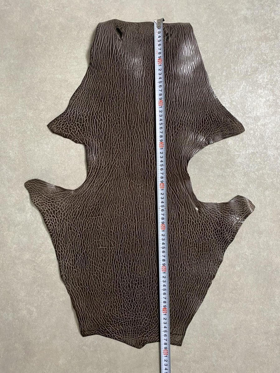 画像7: ケープシール　ニコチン　オットセイ革　シールスキン　エキゾチックレザー (7)
