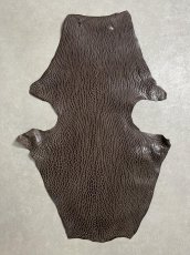 画像1: ケープシール　ニコチン　オットセイ革　シールスキン　エキゾチックレザー (1)