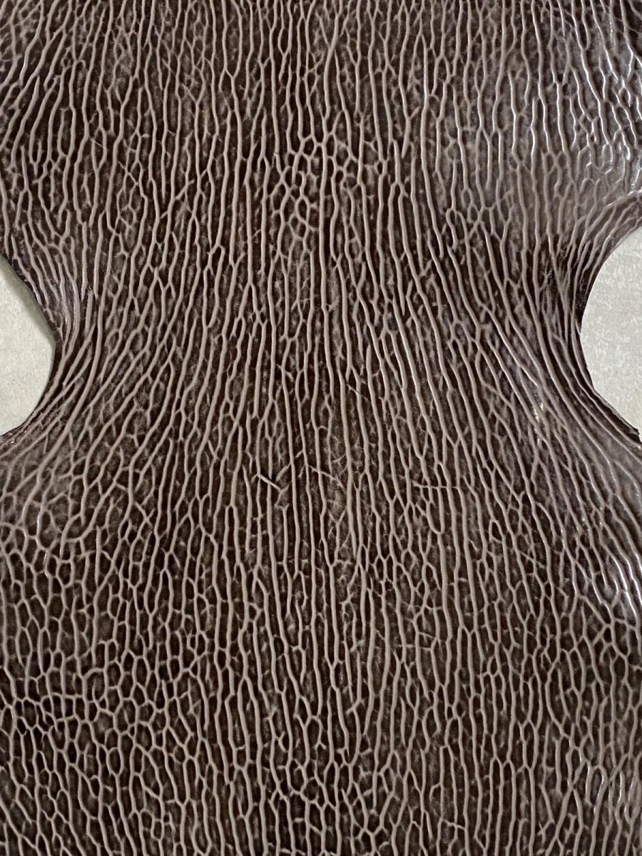 画像2: ケープシール　ニコチン　オットセイ革　シールスキン　エキゾチックレザー (2)