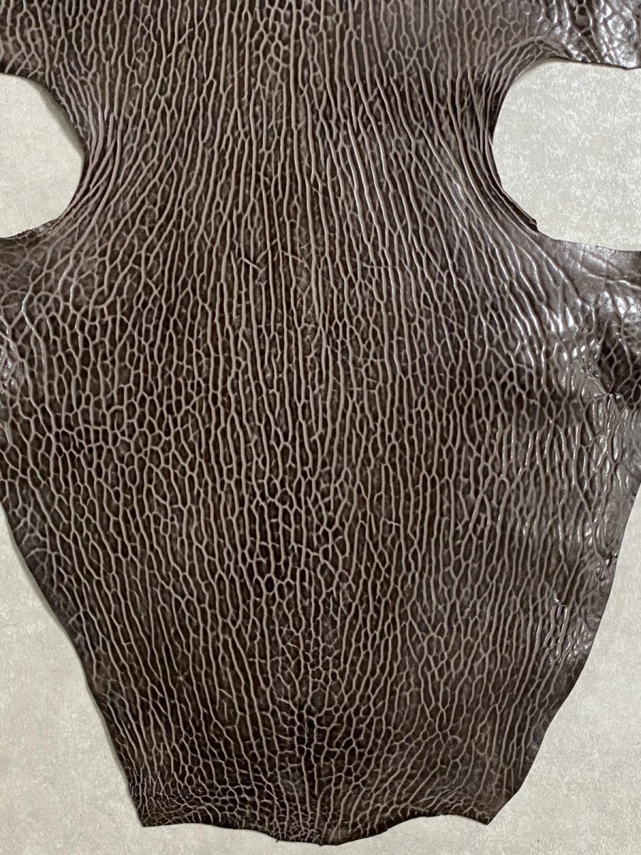 画像4: ケープシール　ニコチン　オットセイ革　シールスキン　エキゾチックレザー (4)