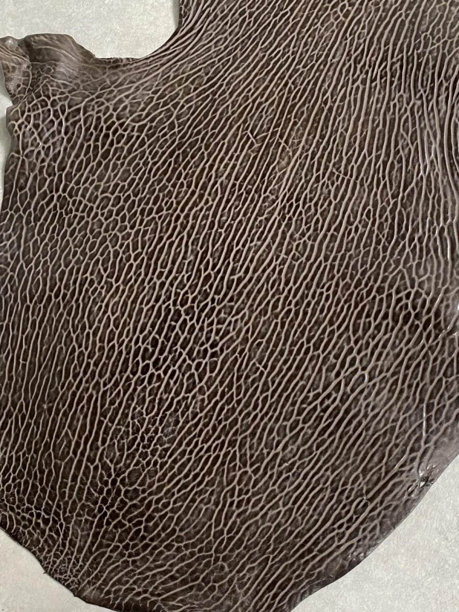 画像6: ケープシール　ニコチン　オットセイ革　シールスキン　エキゾチックレザー (6)