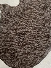 画像6: ケープシール　ニコチン　オットセイ革　シールスキン　エキゾチックレザー (6)