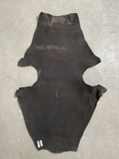 画像7: ケープシール　ニコチン　オットセイ革　シールスキン　エキゾチックレザー (7)