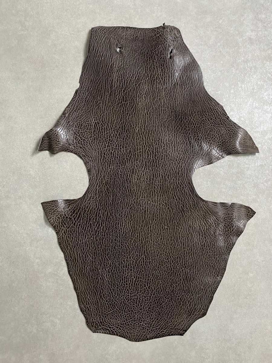 画像1: ケープシール　ニコチン　オットセイ革　シールスキン　エキゾチックレザー (1)