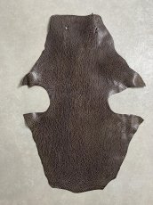 画像1: ケープシール　ニコチン　オットセイ革　シールスキン　エキゾチックレザー (1)