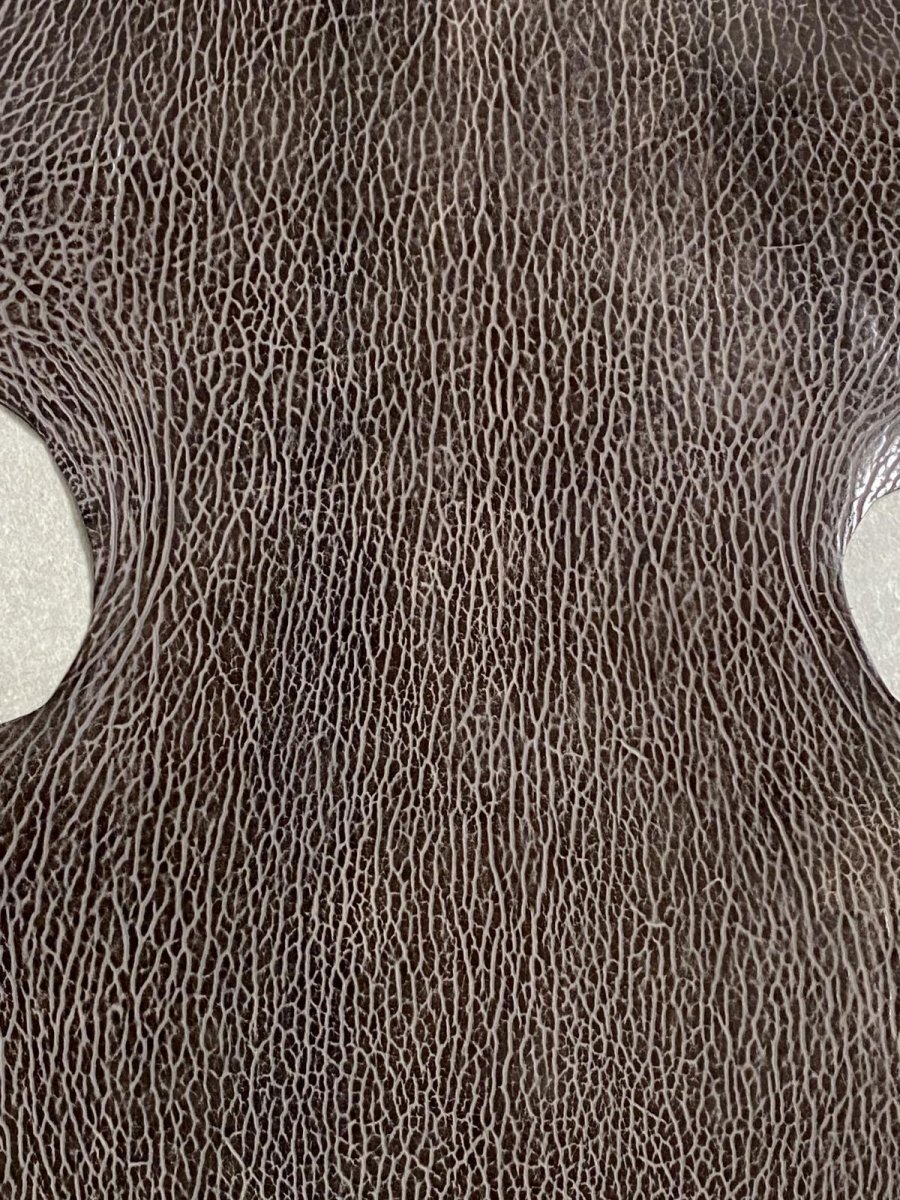 画像2: ケープシール　ニコチン　オットセイ革　シールスキン　エキゾチックレザー (2)