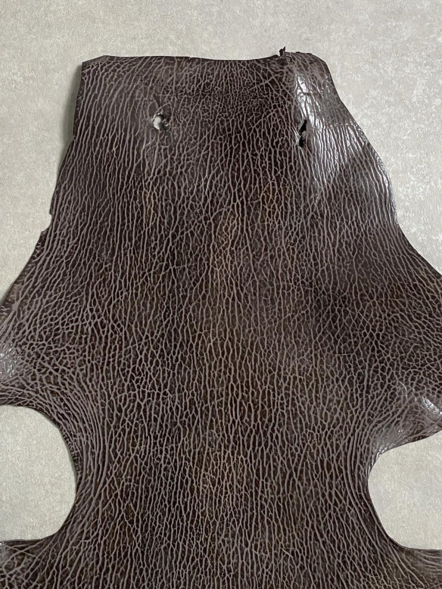 画像3: ケープシール　ニコチン　オットセイ革　シールスキン　エキゾチックレザー (3)