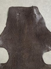 画像3: ケープシール　ニコチン　オットセイ革　シールスキン　エキゾチックレザー (3)