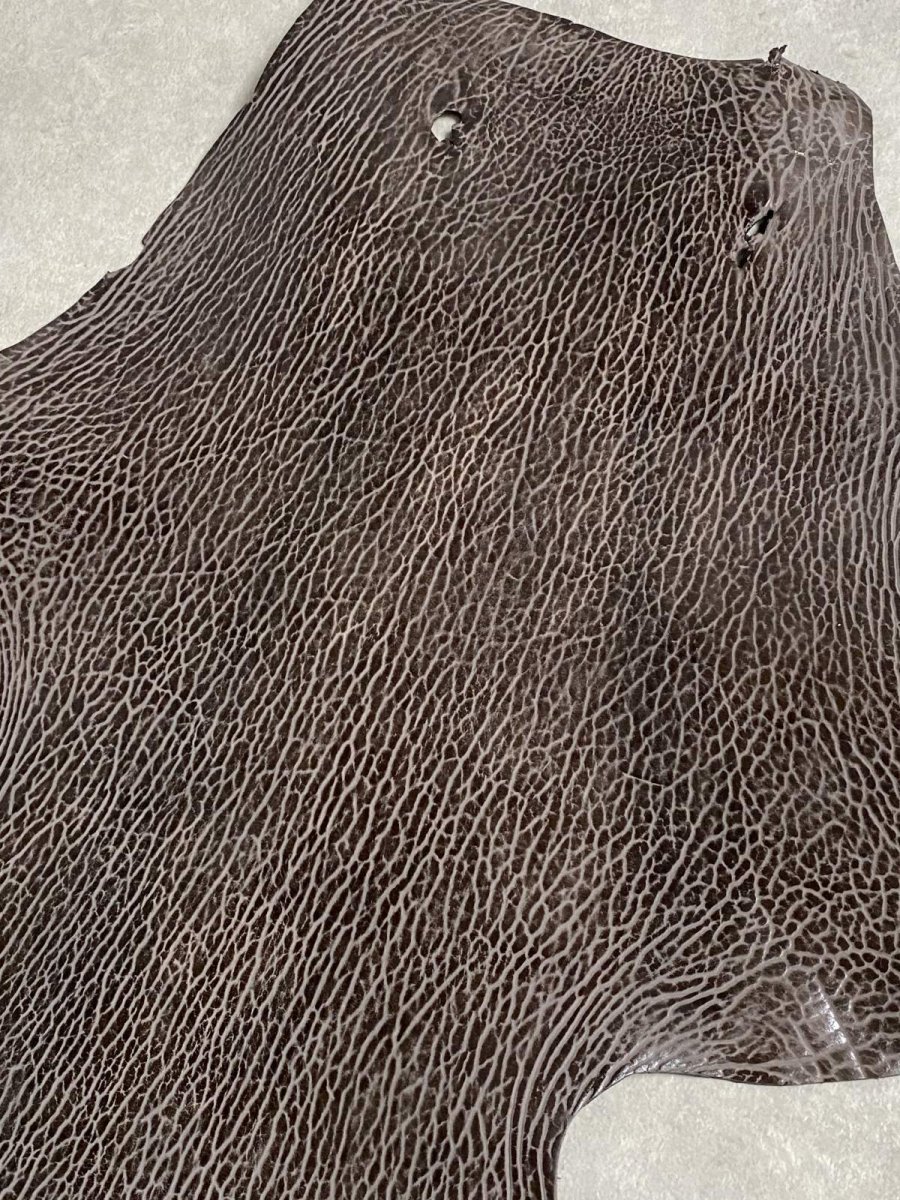 画像4: ケープシール　ニコチン　オットセイ革　シールスキン　エキゾチックレザー (4)