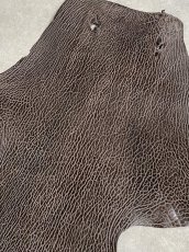 画像4: ケープシール　ニコチン　オットセイ革　シールスキン　エキゾチックレザー (4)