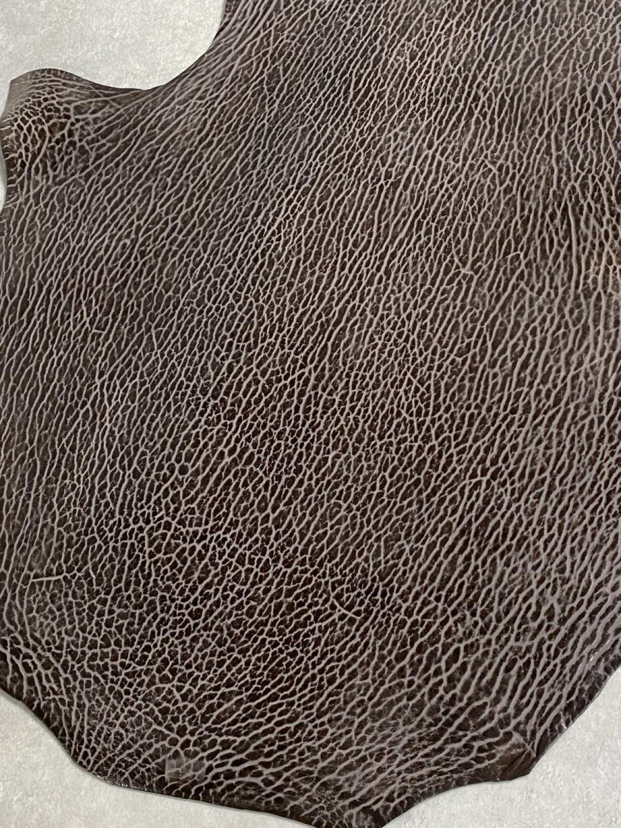 画像5: ケープシール　ニコチン　オットセイ革　シールスキン　エキゾチックレザー (5)