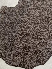 画像5: ケープシール　ニコチン　オットセイ革　シールスキン　エキゾチックレザー (5)
