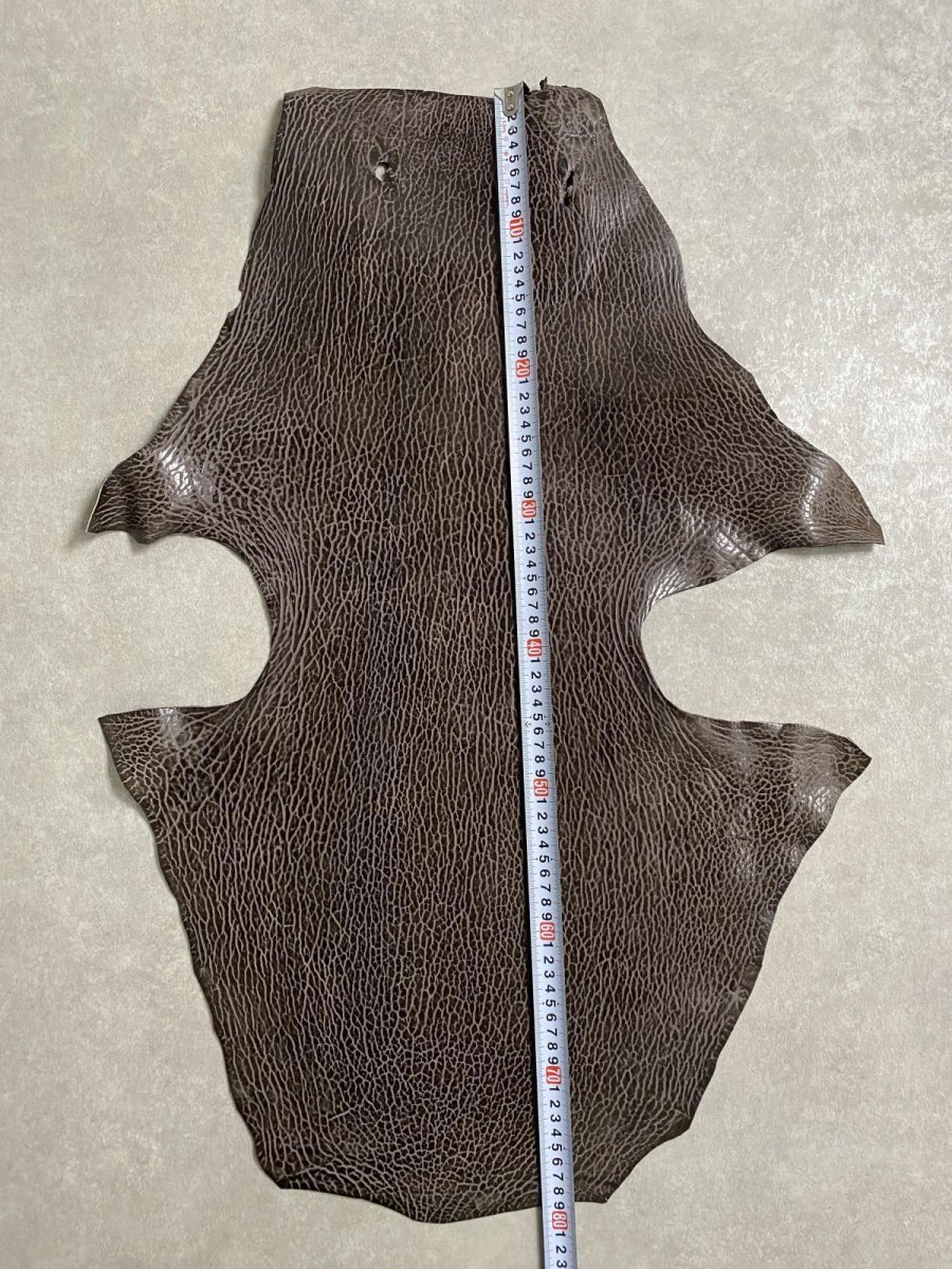 画像6: ケープシール　ニコチン　オットセイ革　シールスキン　エキゾチックレザー (6)