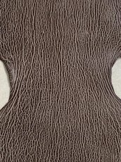 画像2: ケープシール　ニコチン　オットセイ革　シールスキン　エキゾチックレザー (2)