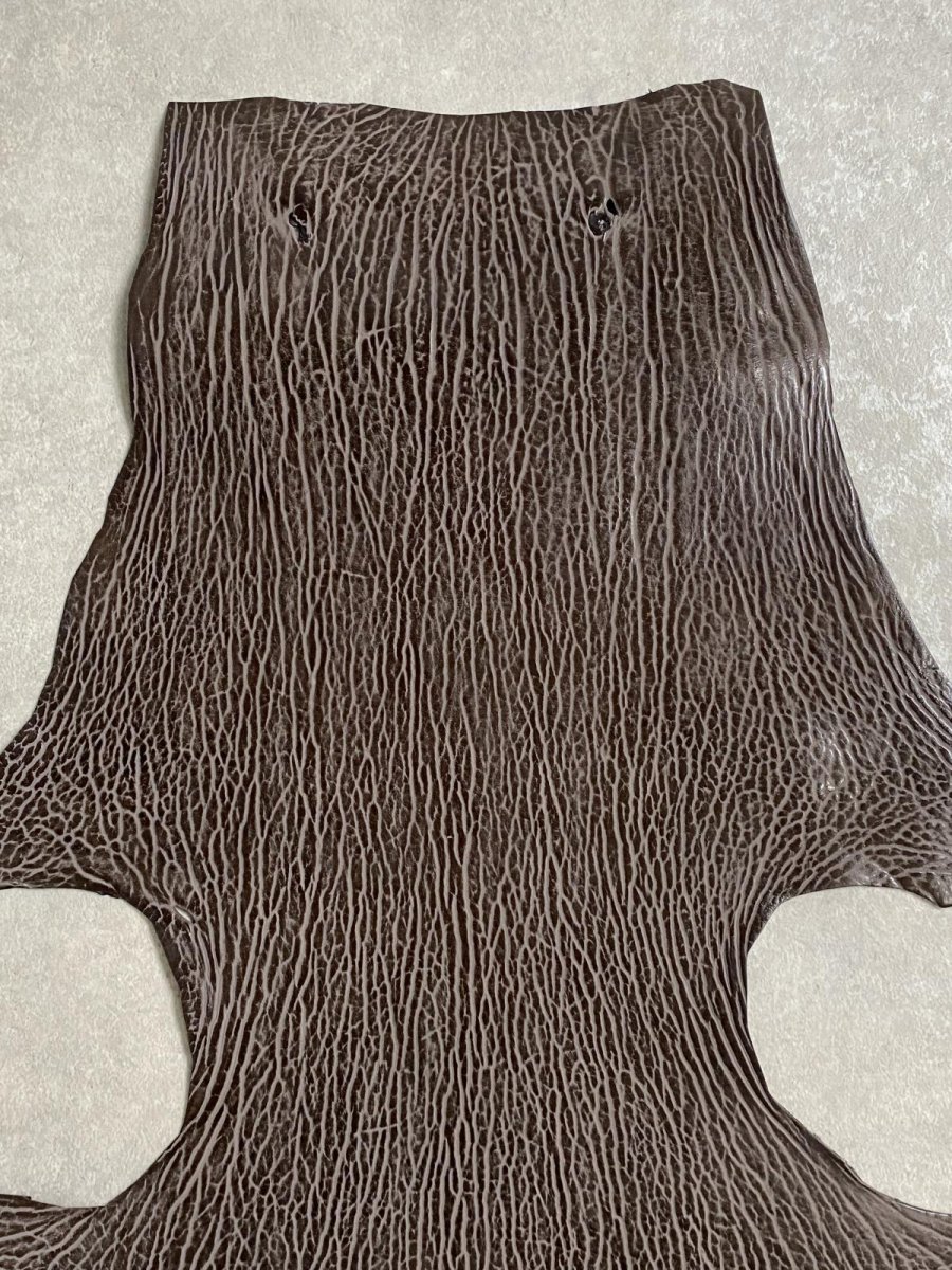 画像3: ケープシール　ニコチン　オットセイ革　シールスキン　エキゾチックレザー (3)