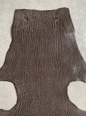 画像3: ケープシール　ニコチン　オットセイ革　シールスキン　エキゾチックレザー (3)