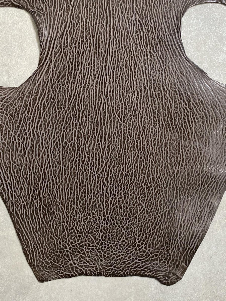 画像4: ケープシール　ニコチン　オットセイ革　シールスキン　エキゾチックレザー (4)