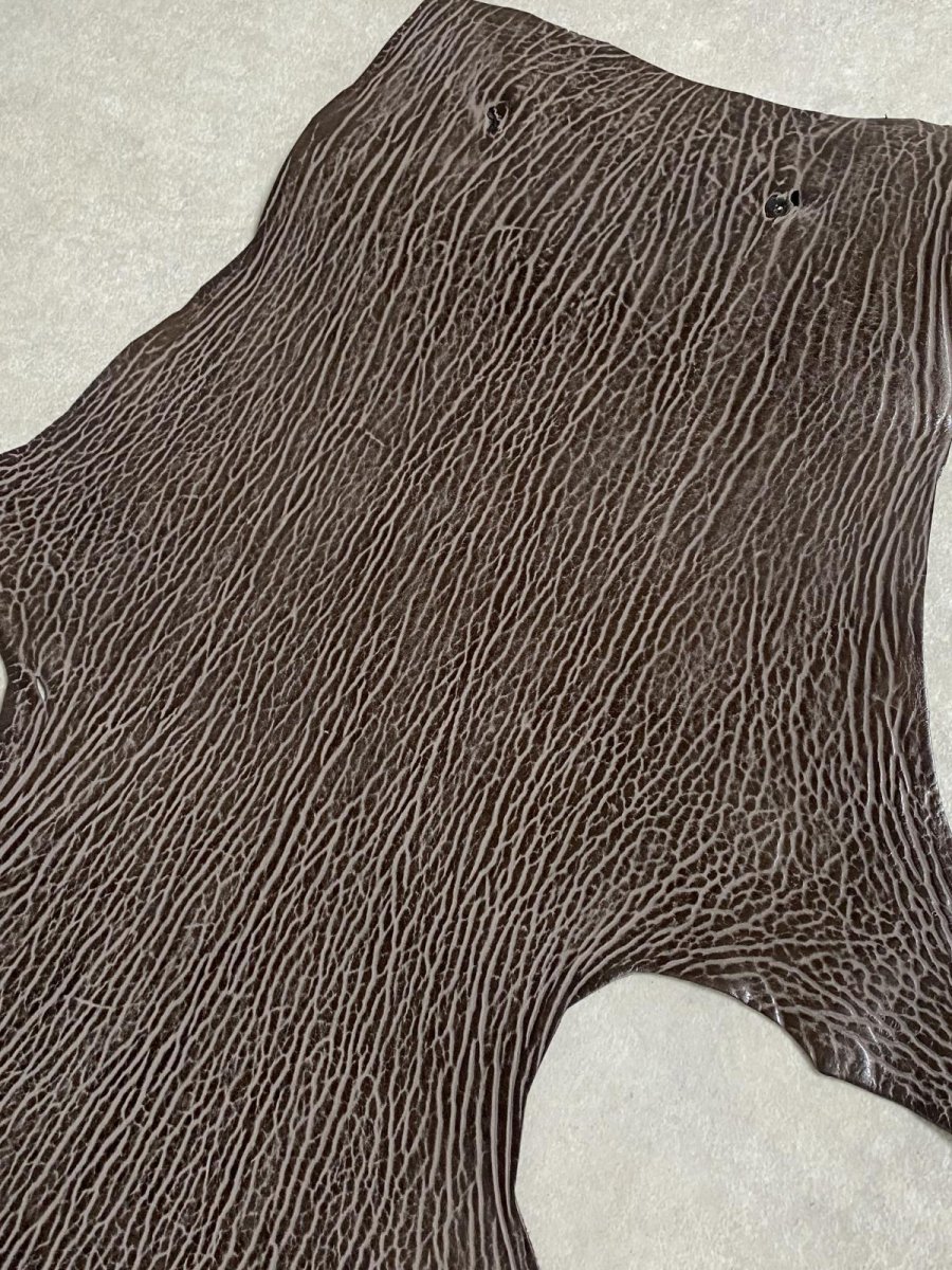 画像5: ケープシール　ニコチン　オットセイ革　シールスキン　エキゾチックレザー (5)