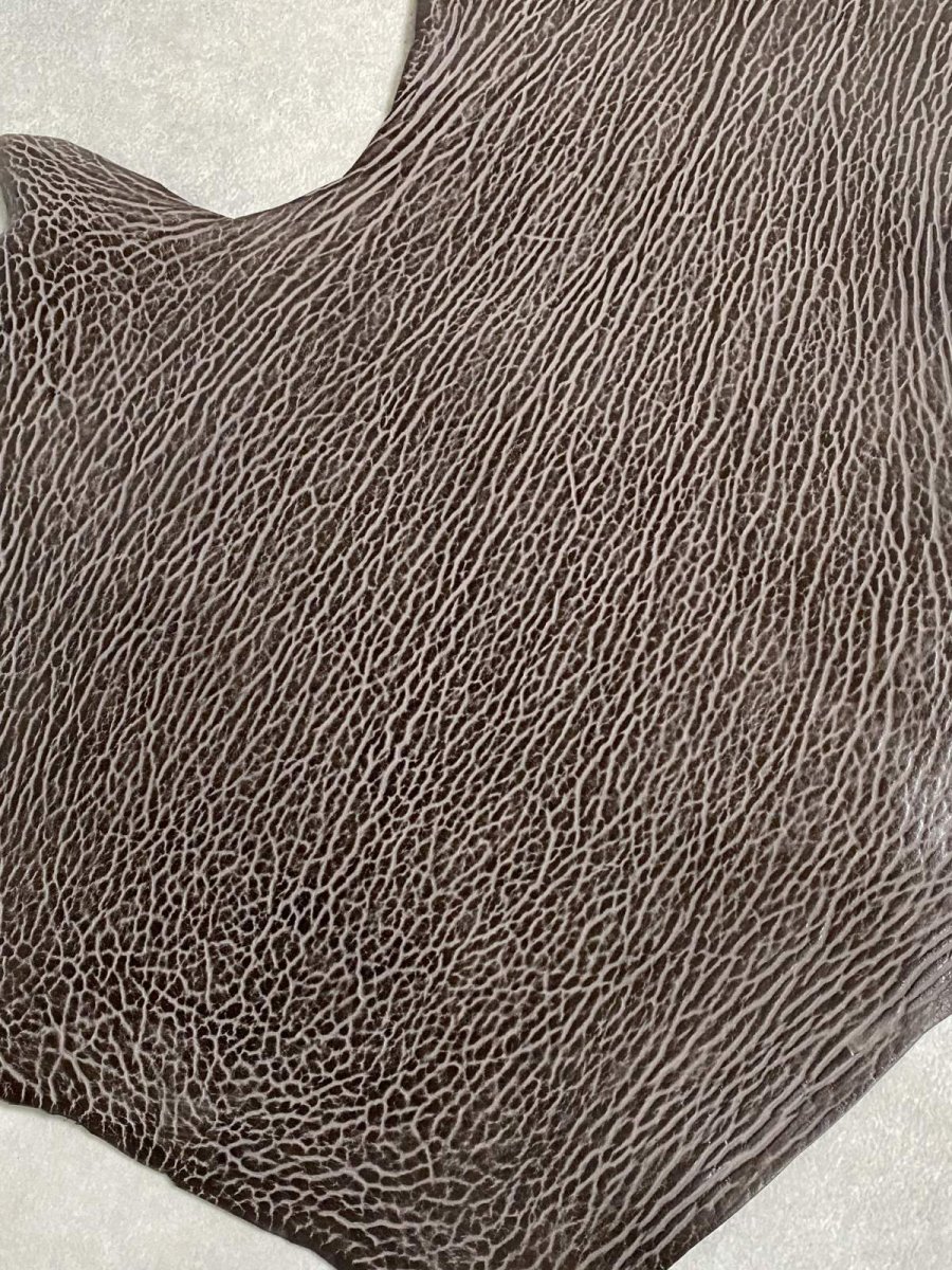 画像6: ケープシール　ニコチン　オットセイ革　シールスキン　エキゾチックレザー (6)