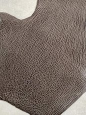 画像6: ケープシール　ニコチン　オットセイ革　シールスキン　エキゾチックレザー (6)