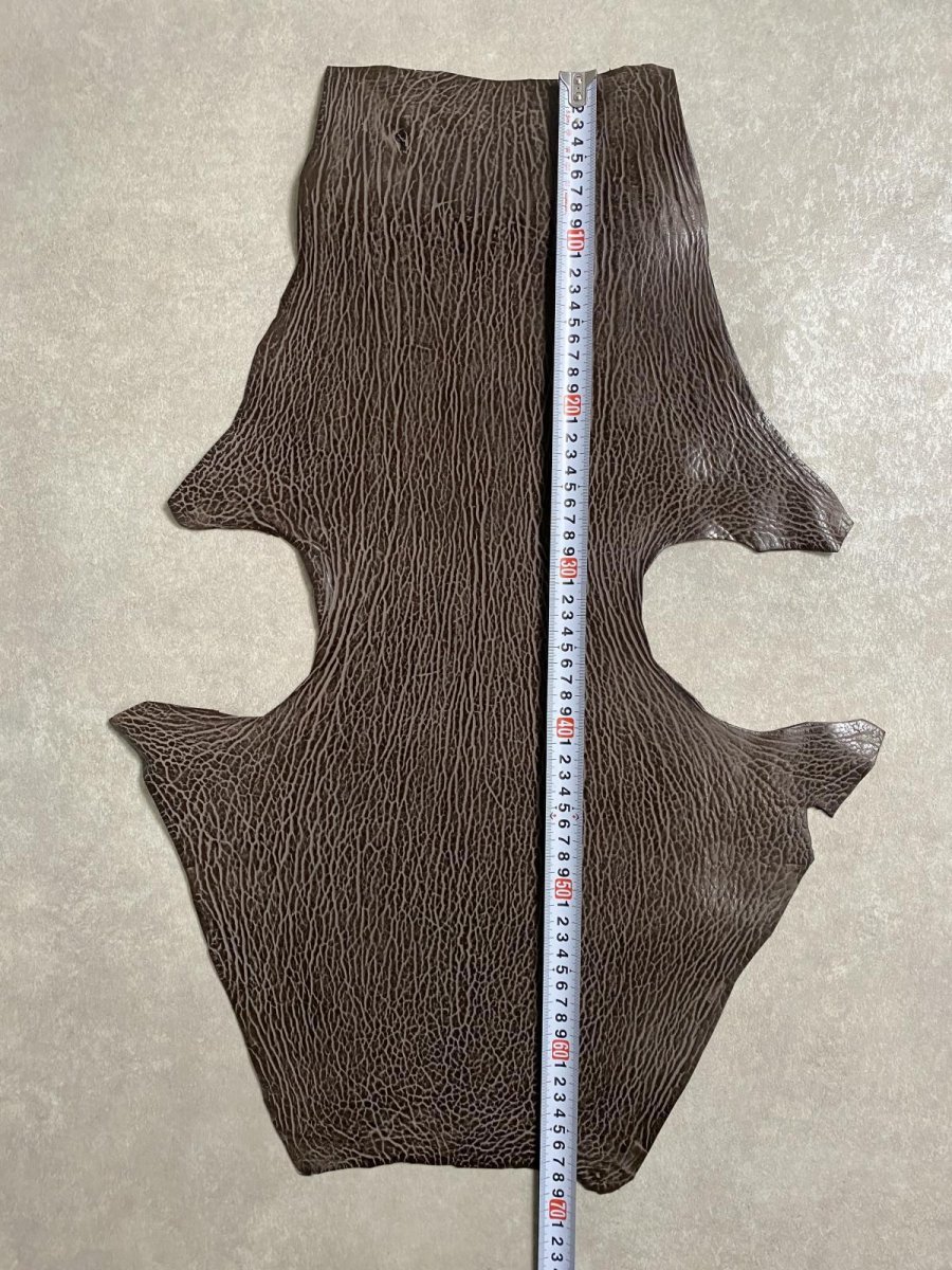 画像7: ケープシール　ニコチン　オットセイ革　シールスキン　エキゾチックレザー (7)