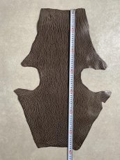 画像7: ケープシール　ニコチン　オットセイ革　シールスキン　エキゾチックレザー (7)