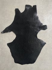 画像1: ケープシール　ブラック　オットセイ革　シールスキン (1)