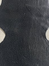 画像2: ケープシール　ブラック　オットセイ革　シールスキン (2)