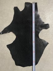 画像7: ケープシール　ブラック　オットセイ革　シールスキン (7)
