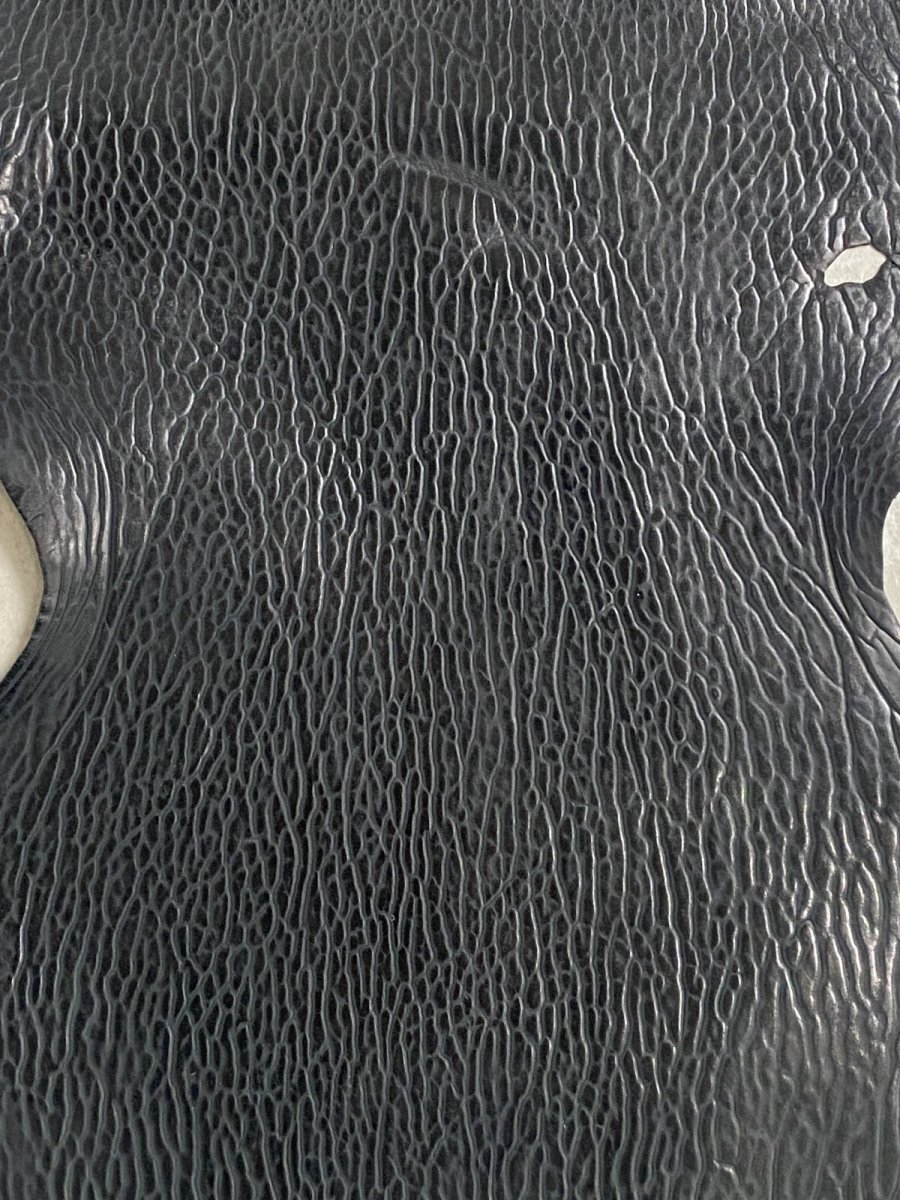 画像2: ケープシール　ブラック　オットセイ革　シールスキン (2)