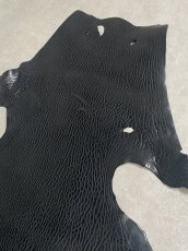 画像5: ケープシール　ブラック　オットセイ革　シールスキン (5)