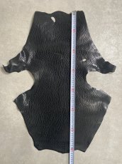画像7: ケープシール　ブラック　オットセイ革　シールスキン (7)