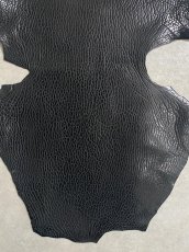 画像4: ケープシール　ブラック　オットセイ革　シールスキン (4)