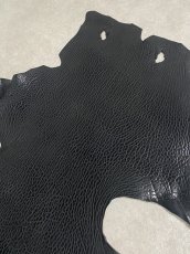 画像5: ケープシール　ブラック　オットセイ革　シールスキン (5)