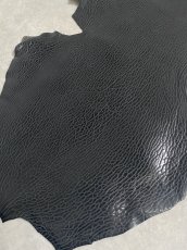 画像6: ケープシール　ブラック　オットセイ革　シールスキン (6)