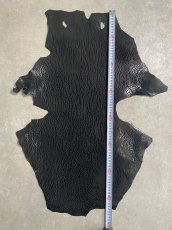 画像7: ケープシール　ブラック　オットセイ革　シールスキン (7)