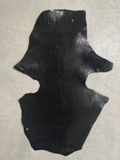 画像1: ケープシール　ブラック　オットセイ革　シールスキン (1)