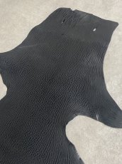 画像5: ケープシール　ブラック　オットセイ革　シールスキン (5)