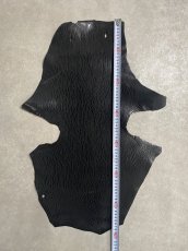 画像7: ケープシール　ブラック　オットセイ革　シールスキン (7)