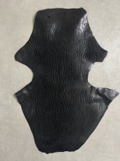 画像1: ケープシール　ブラック　オットセイ革　シールスキン (1)