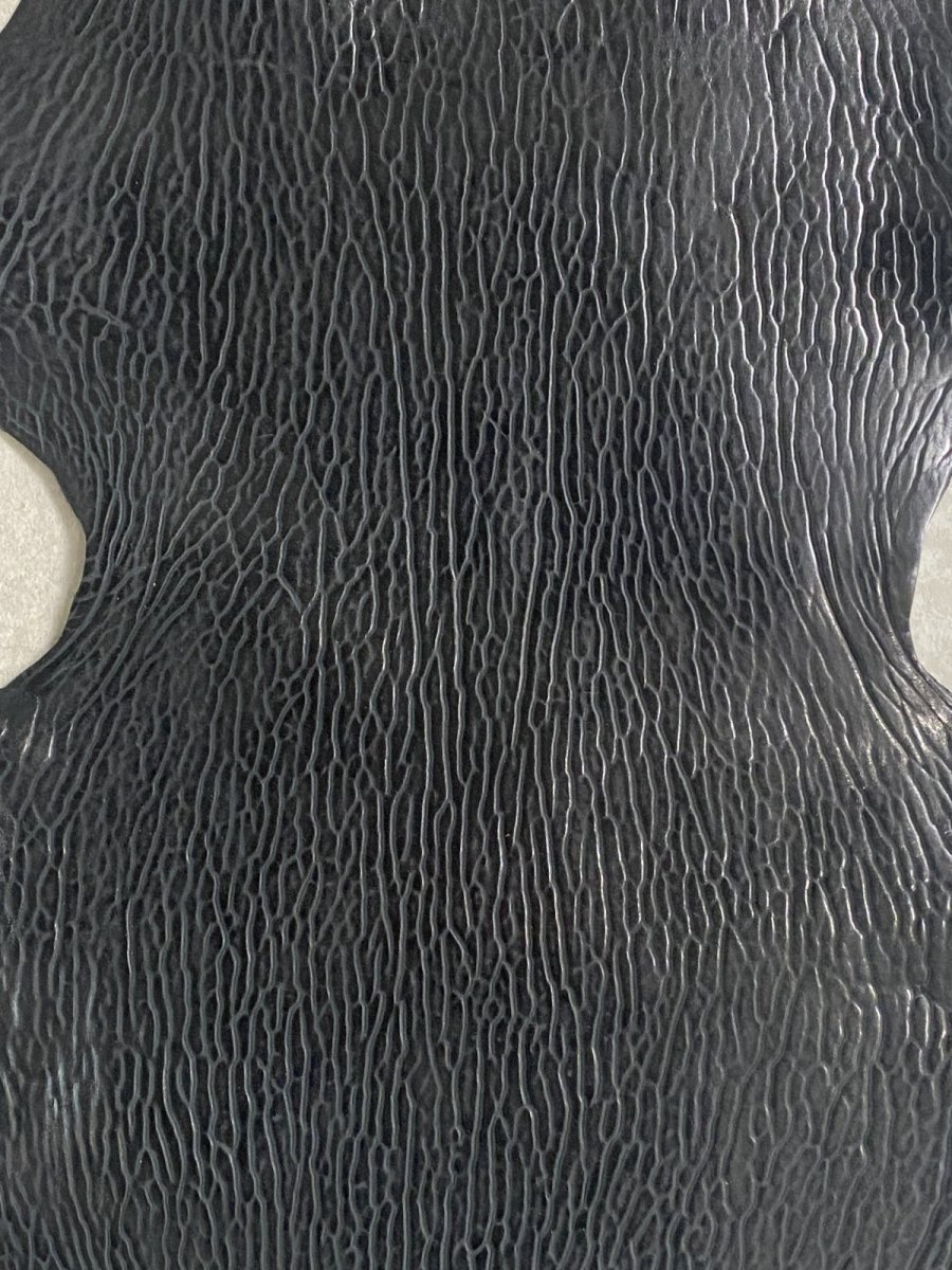 画像2: ケープシール　ブラック　オットセイ革　シールスキン (2)